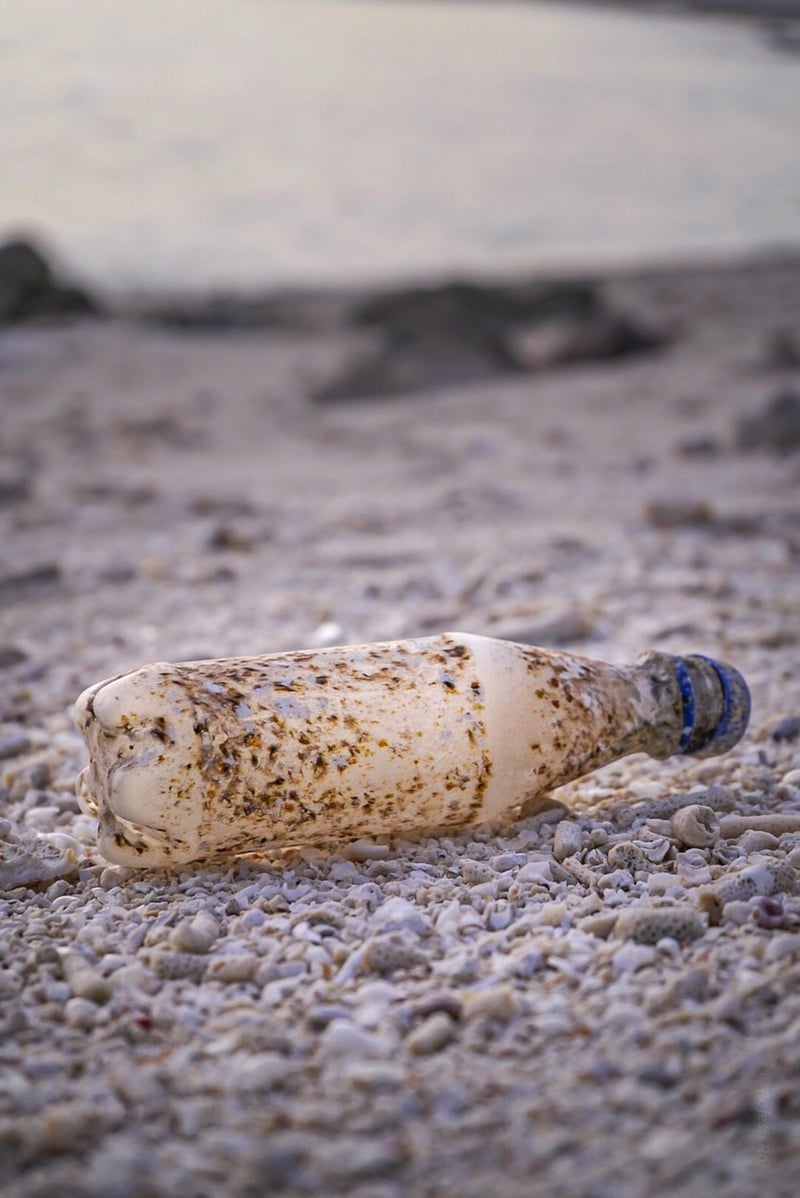 Plastic Bottle Sculpture